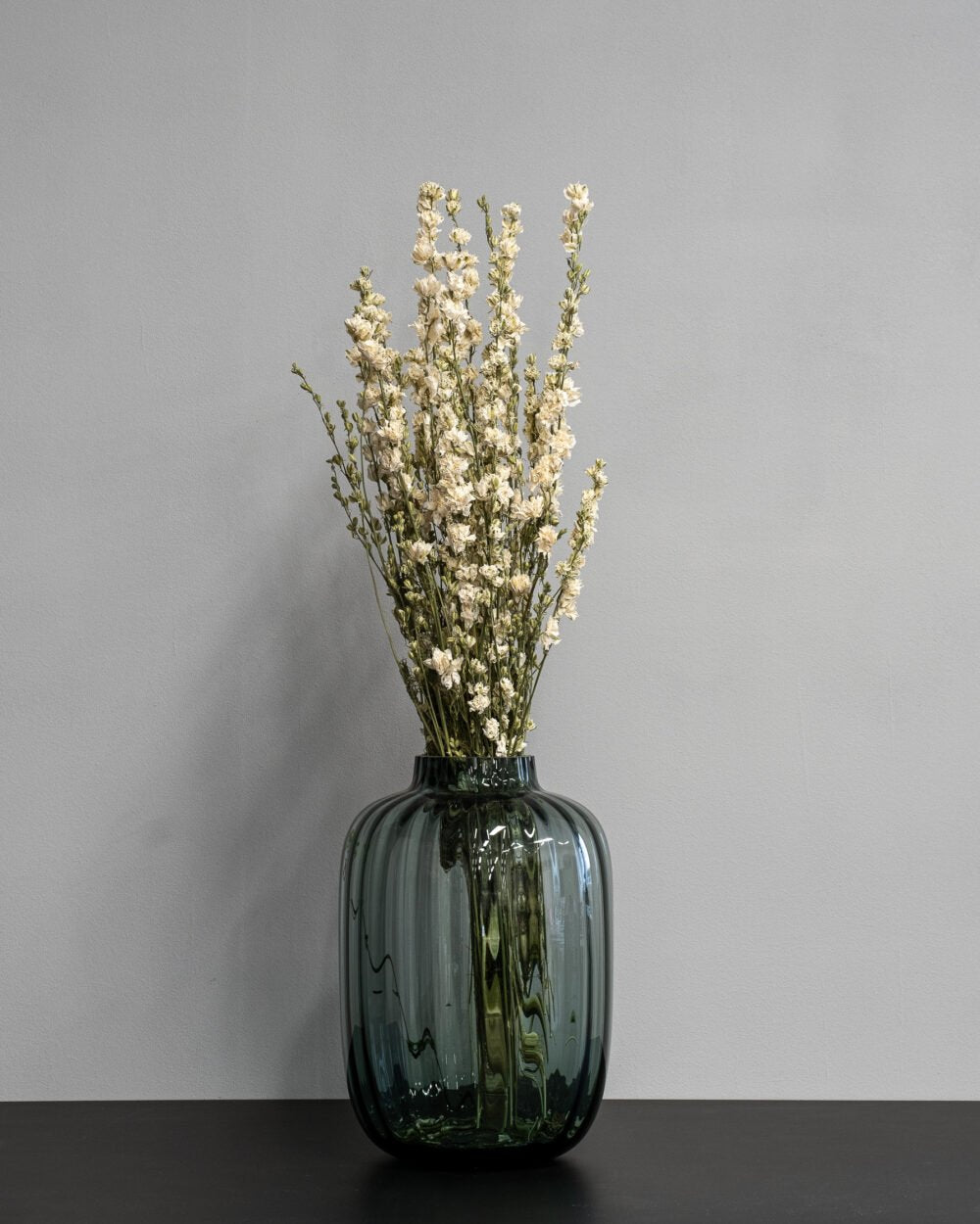 Torkade Riddarsporre – Delphinium, Flora Grossist, torkade-blommor