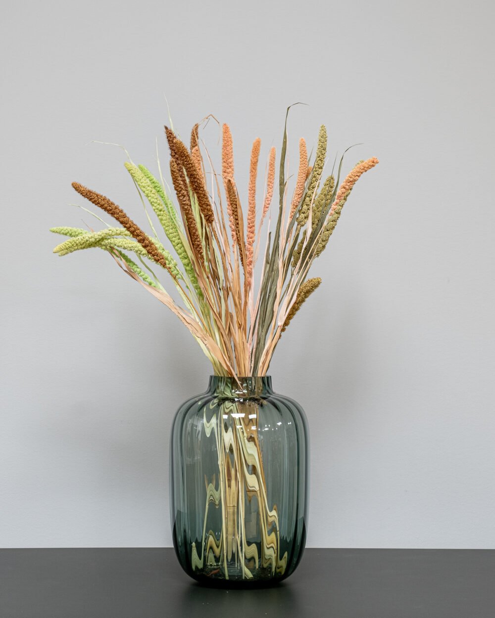 Setaria Mix Färg- Torkade Blommor, Flora Grossist, torkade-blommor