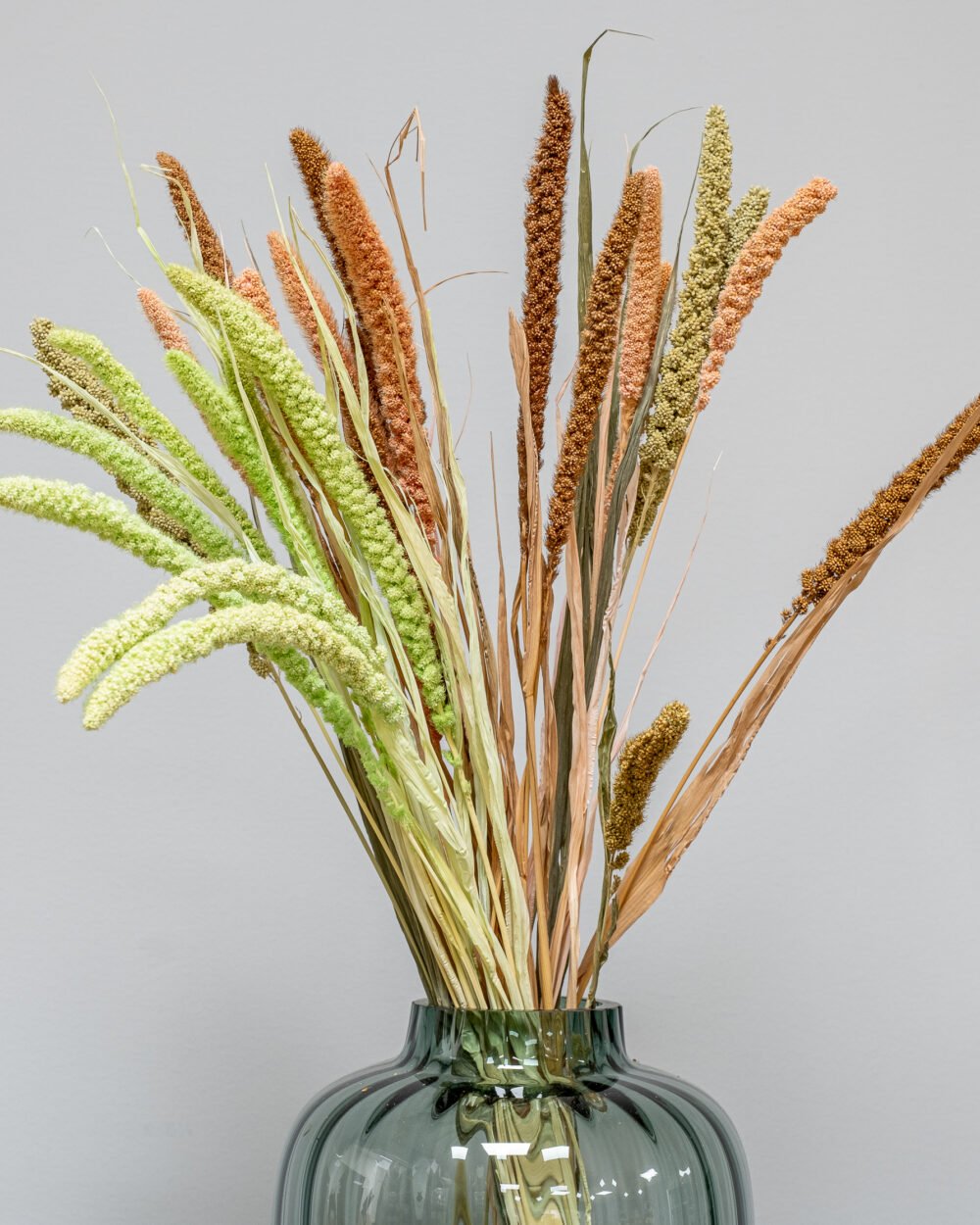 Setaria Mix Färg- Torkade Blommor, Flora Grossist, torkade-blommor