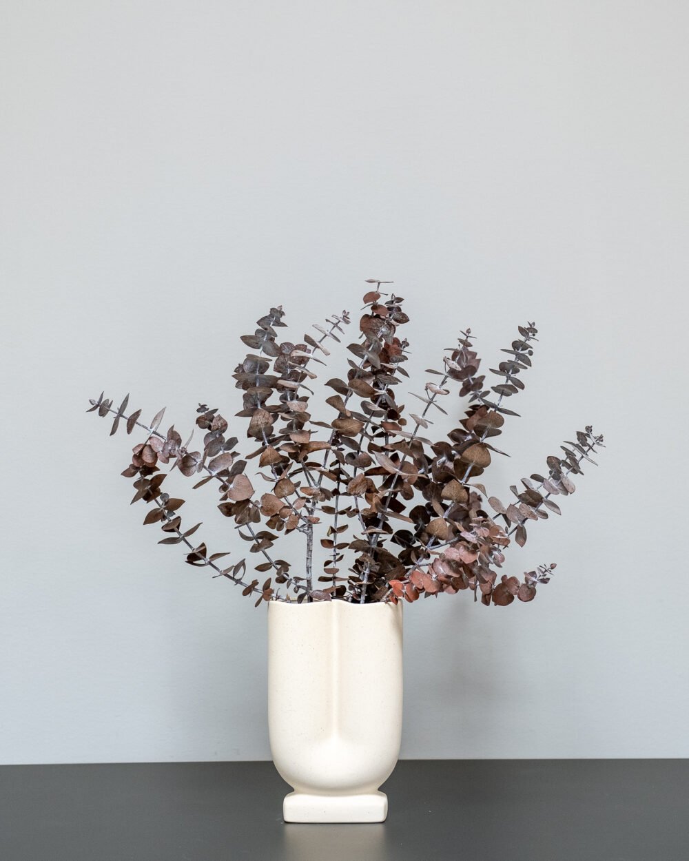 Konserverad Eucalyptus Baby – Röd, Flora Grossist, konserverade-blommor