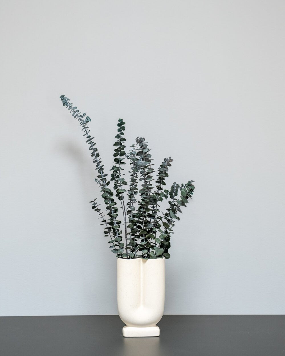 Konserverad Eucalyptus Baby – Grön, Flora Grossist, konserverade-blommor