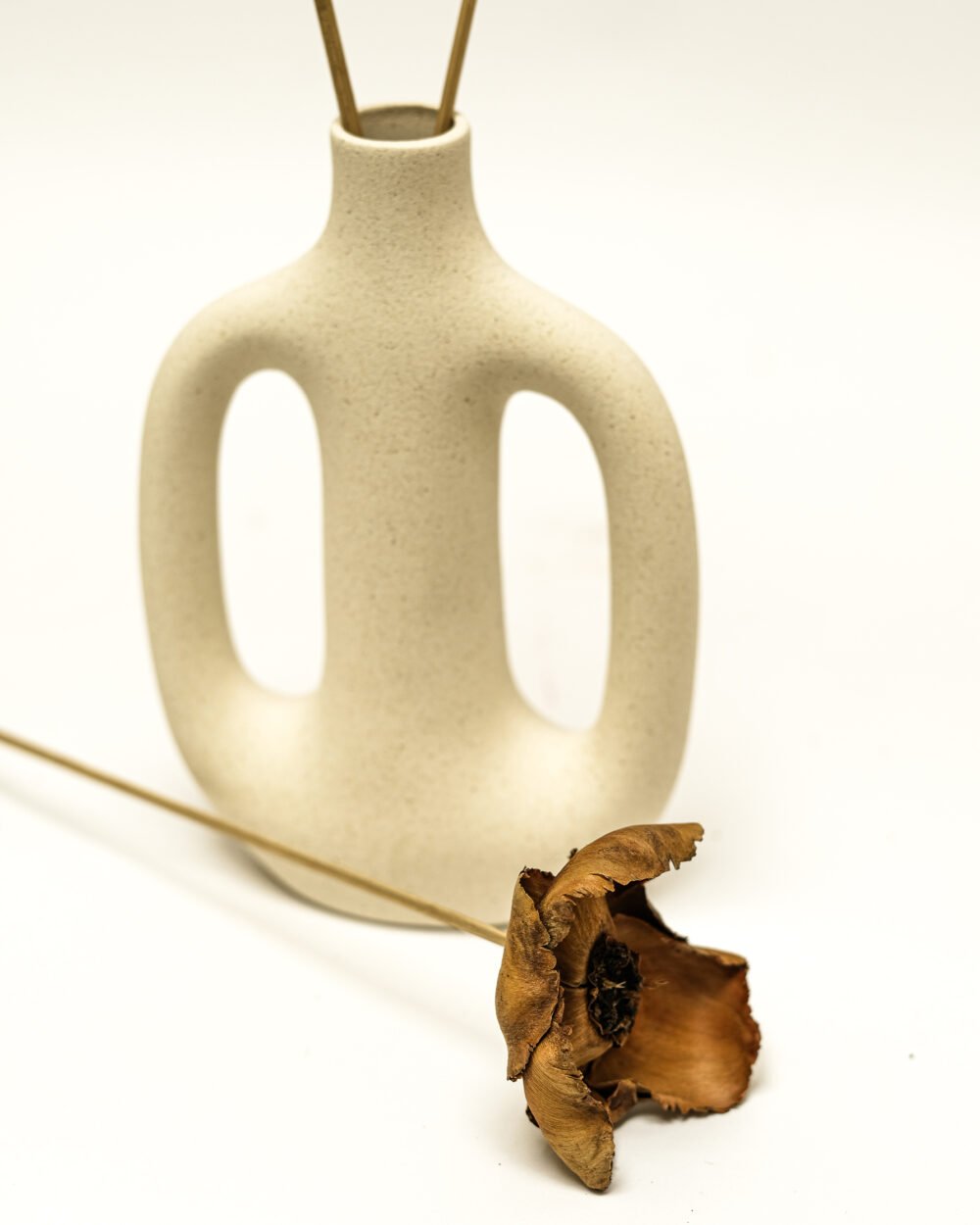 Palmcup Naturell – 3 St., Flora Grossist, torkade-blommor