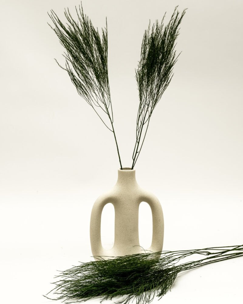 Konserverad Tiki Fern, Flora Grossist, konserverade-blommor