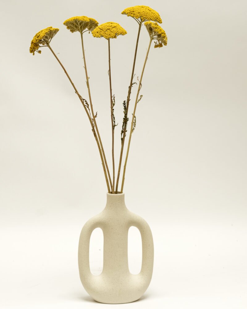 Achillea Naturell – 5 St, Flora Grossist, torkade-blommor