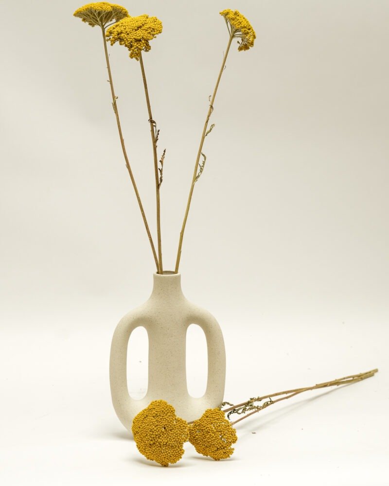 Achillea Naturell – 5 St, Flora Grossist, torkade-blommor