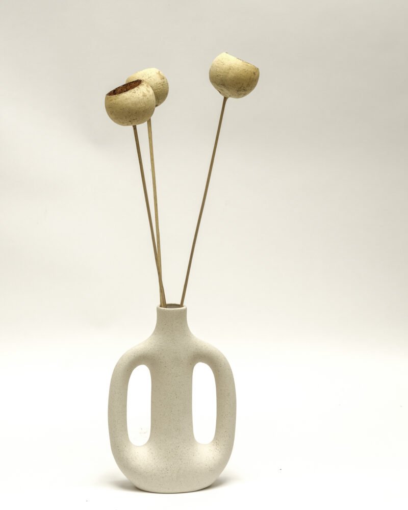 Bell Cup 3 St. – Naturell, Flora Grossist, torkade-blommor