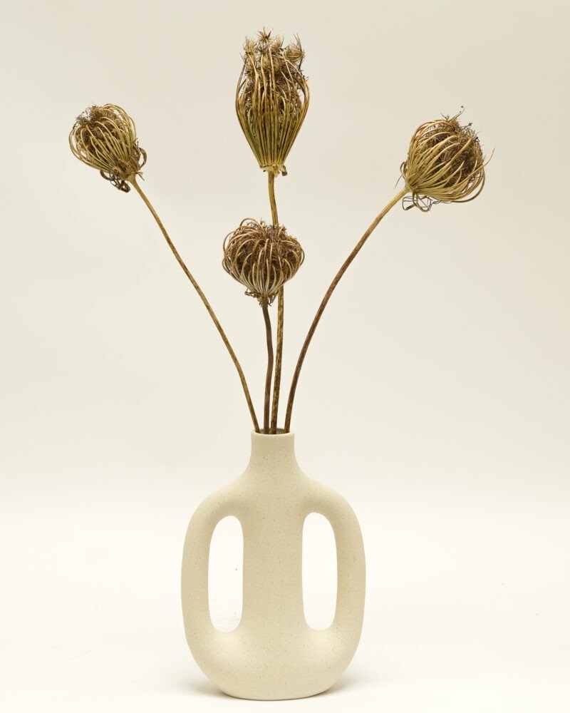 Ammi Majus Naturell 3 St., Flora Grossist, torkade-blommor