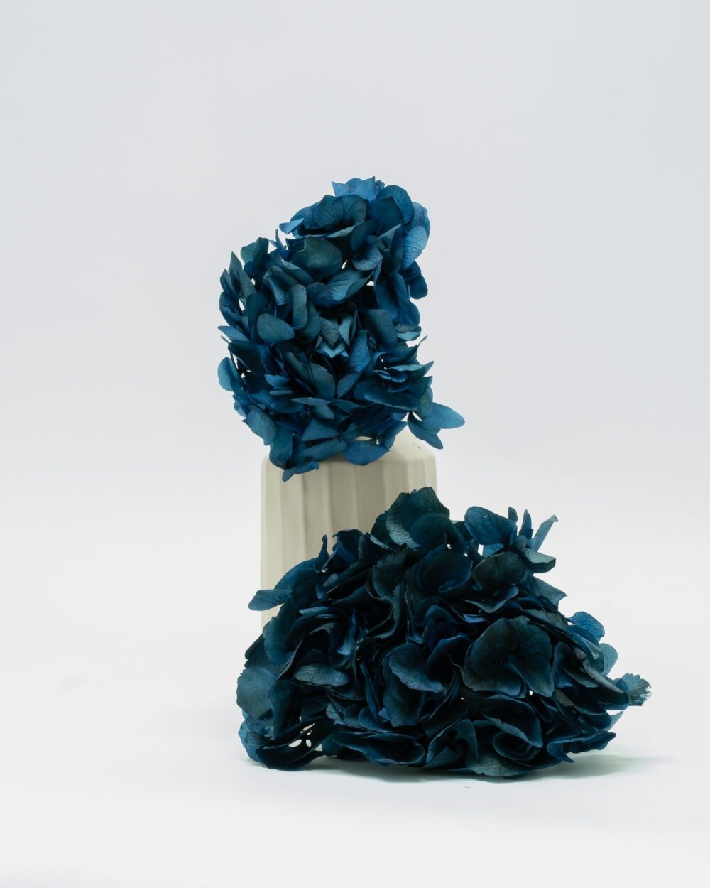 Konserverade Hortensia Mörkblå, Flora Grossist, konserverade-blommor