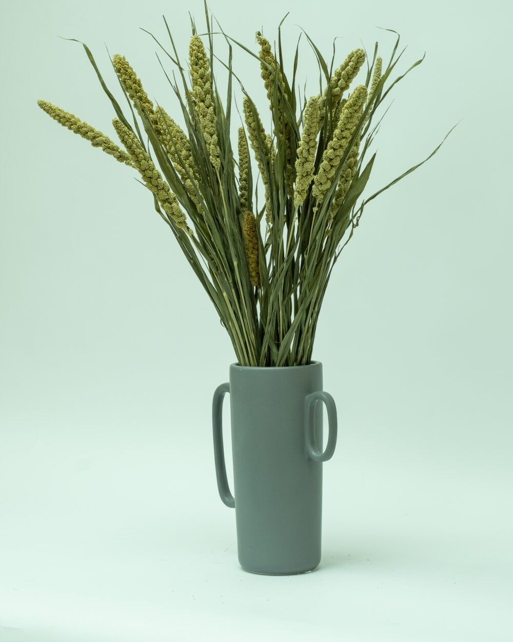 Sorghum Naturell – Torkade Blommor, Flora Grossist, torkade-blommor