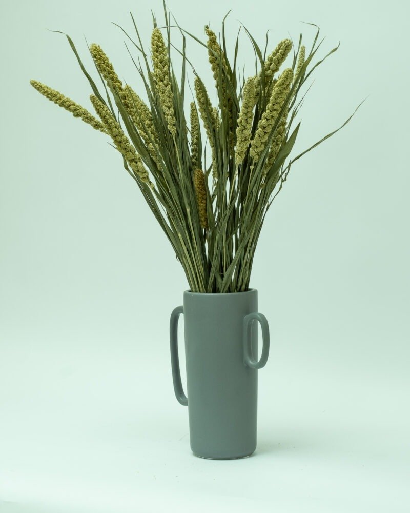 Sorghum Naturell – Torkade Blommor, Flora Grossist, torkade-blommor