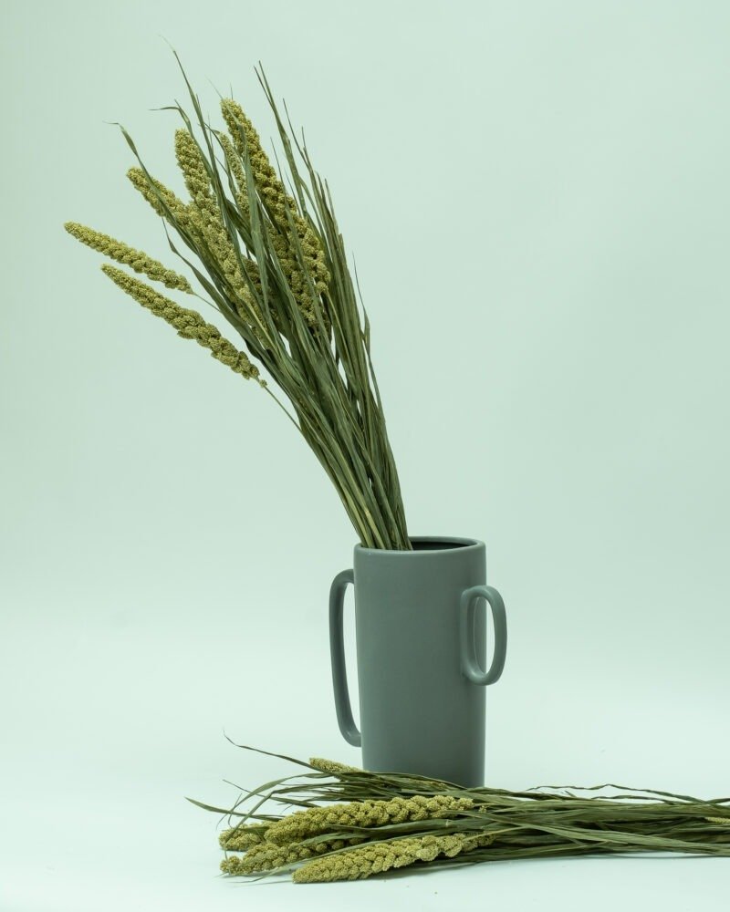 Sorghum Naturell – Torkade Blommor, Flora Grossist, torkade-blommor