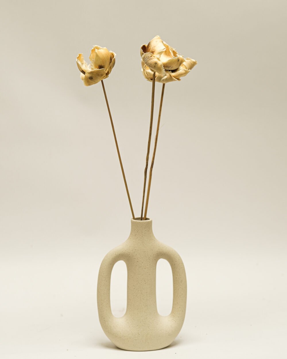 Palmcup Blekt – 3 St., Flora Grossist, torkade-blommor