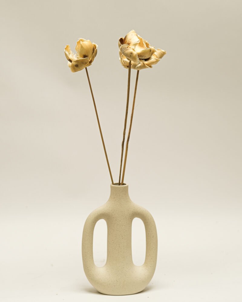 Palmcup Blekt – 3 St., Flora Grossist, torkade-blommor