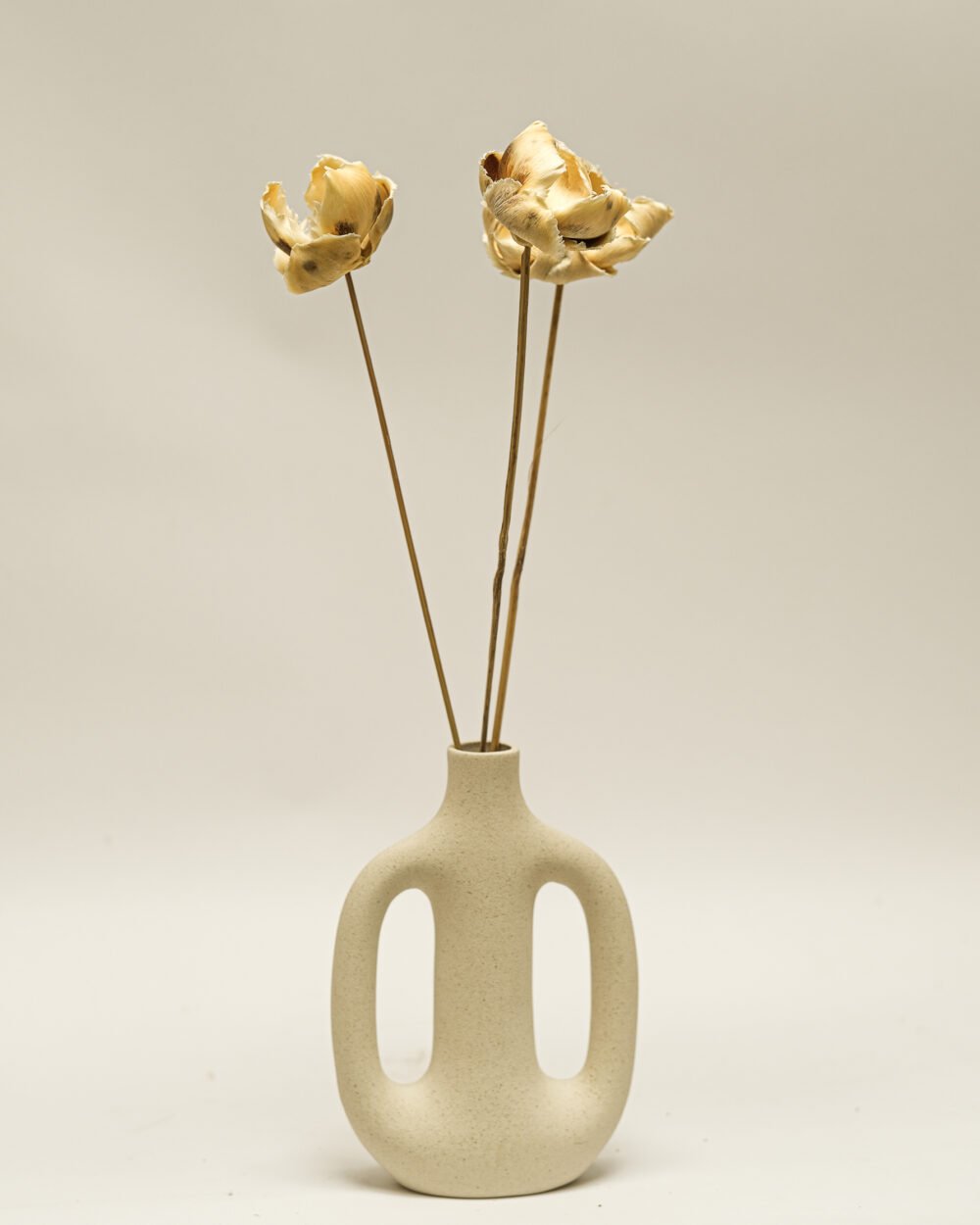 Palmcup Blekt – 3 St., Flora Grossist, torkade-blommor