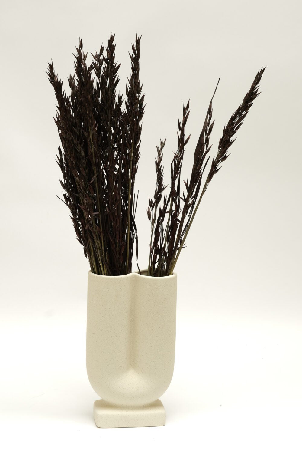 Havre Mörkbrun – Torkade Blommor, Flora Grossist, torkade-blommor