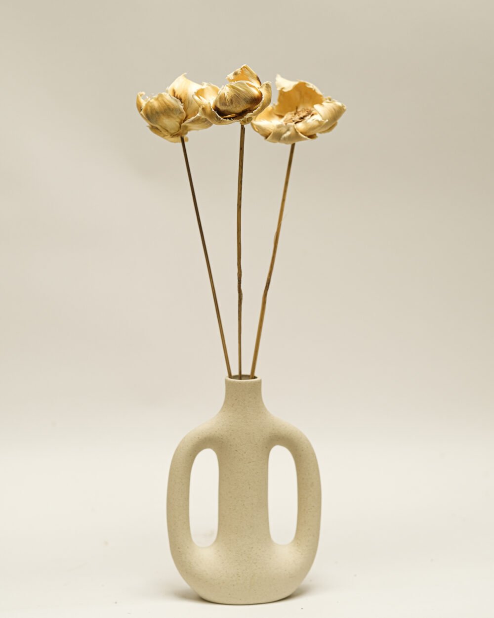 Palmcup Blekt – 3 St., Flora Grossist, torkade-blommor