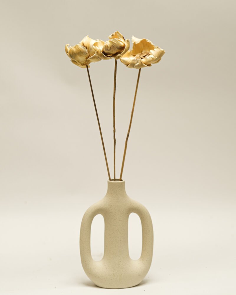 Palmcup Blekt – 3 St., Flora Grossist, torkade-blommor