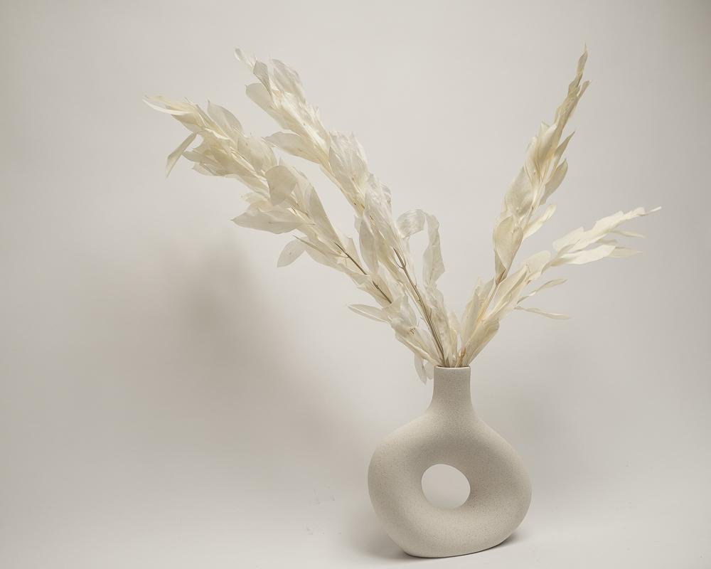 Ruscus Gigant – Blekt Vit, Flora Grossist, torkade-blommor