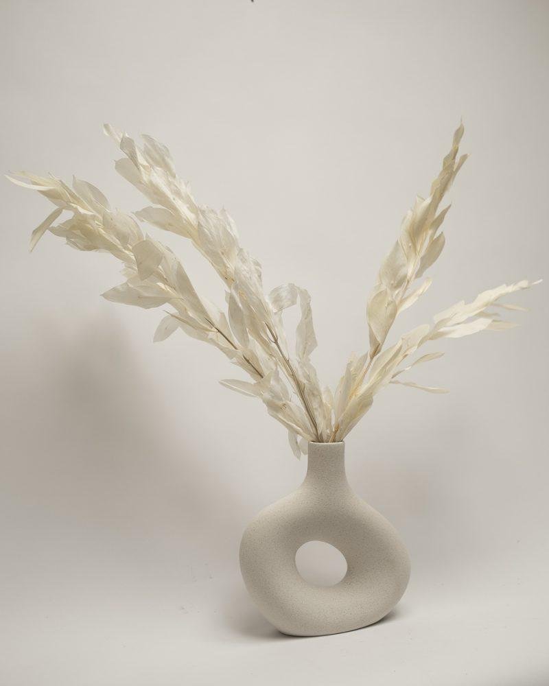 Ruscus Gigant – Blekt Vit, Flora Grossist, torkade-blommor