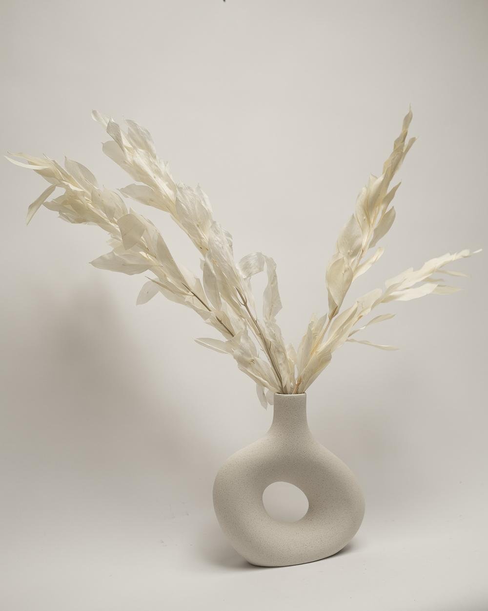 Ruscus Gigant – Blekt Vit, Flora Grossist, torkade-blommor