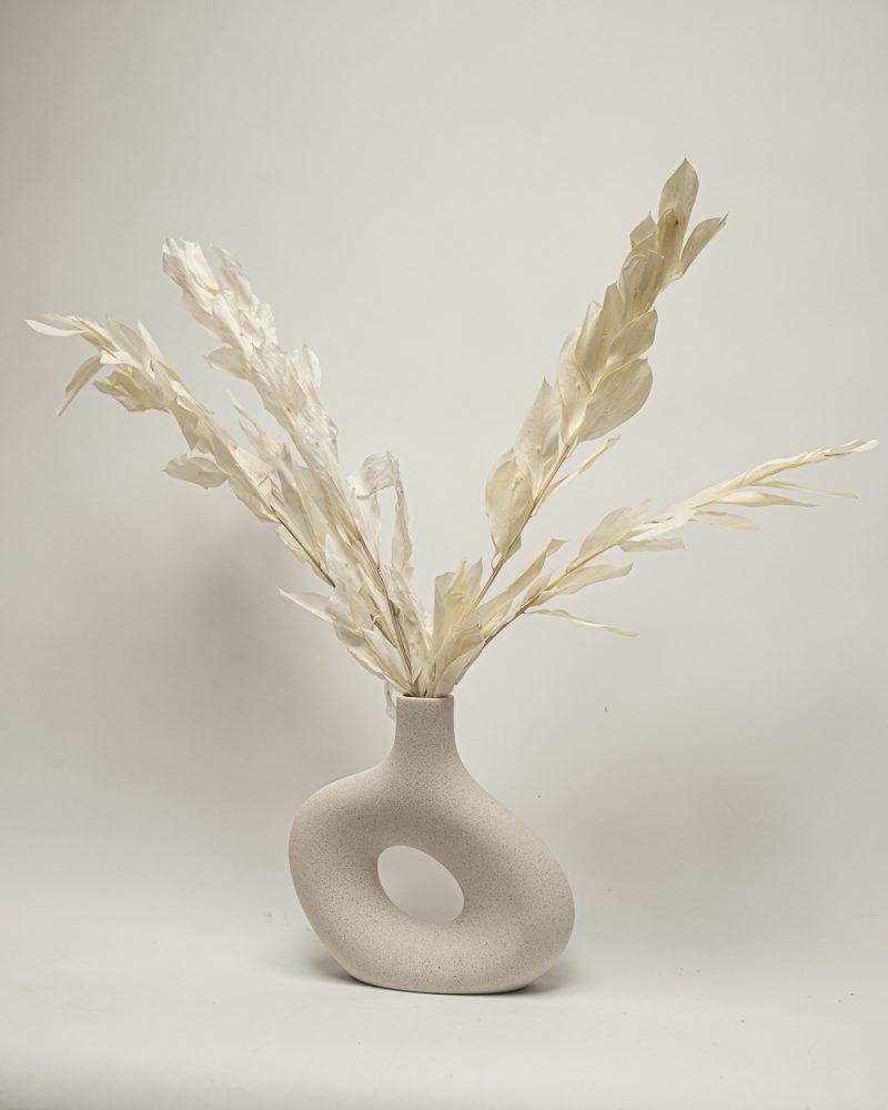 Ruscus Gigant – Blekt Vit, Flora Grossist, torkade-blommor