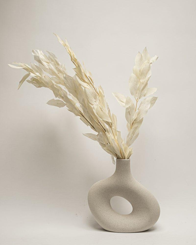 Ruscus Gigant – Blekt Vit, Flora Grossist, torkade-blommor