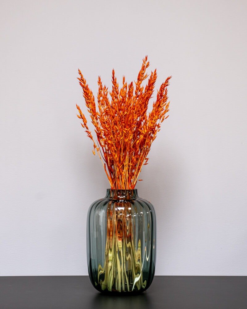 Havre Orange – Torkade Blommor, Flora Grossist, torkade-blommor