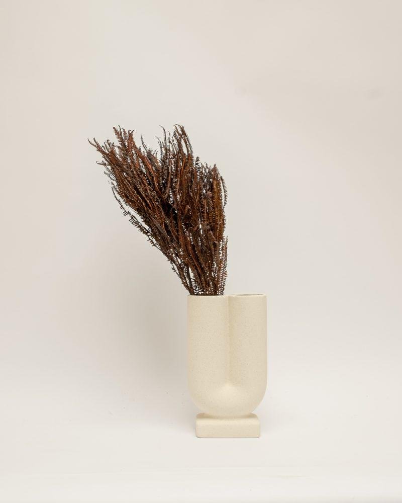 Helecho Fern – Mörkbrun, Flora Grossist, konserverade-blommor