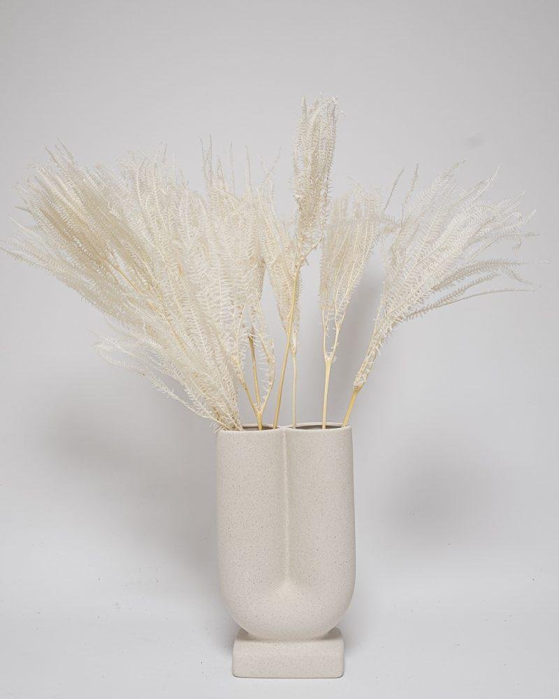 Helecho Fern – Blekt Vit, Flora Grossist, konserverade-blommor