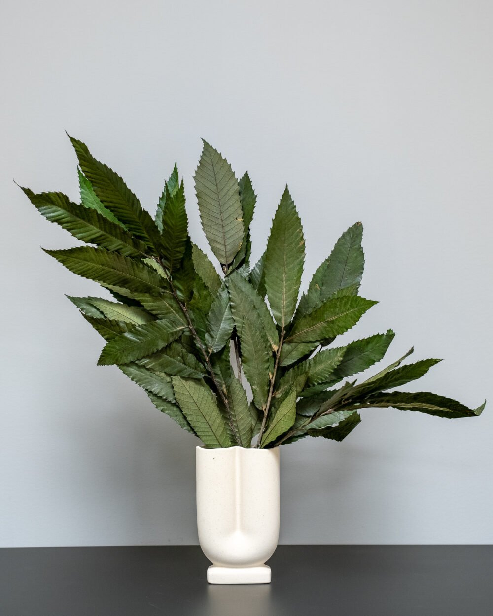 Konserverade Kastanjer (chestnut) – Grön, Flora Grossist, konserverade-blommor