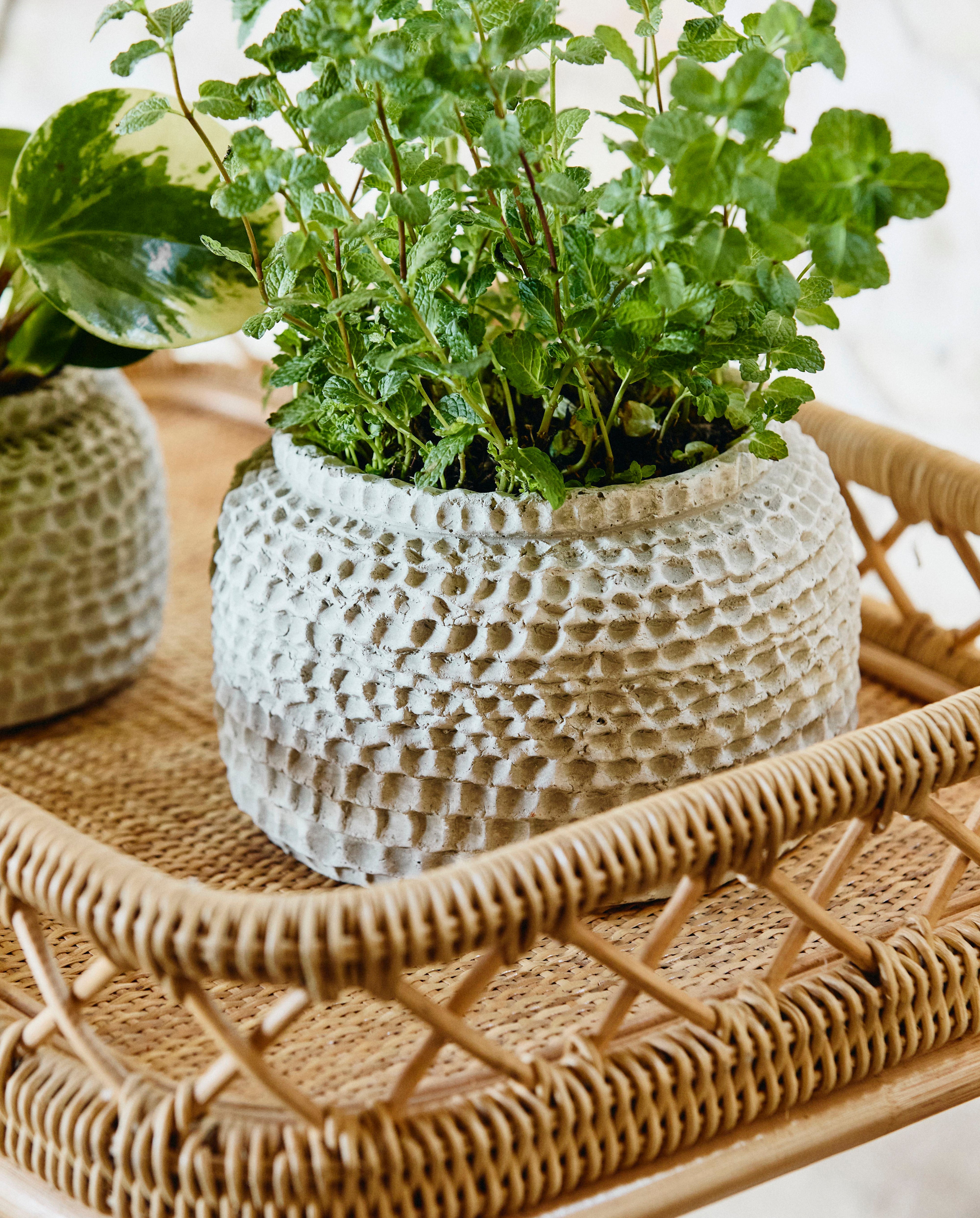 Liri Trolley - Natural, Nordal, möbler