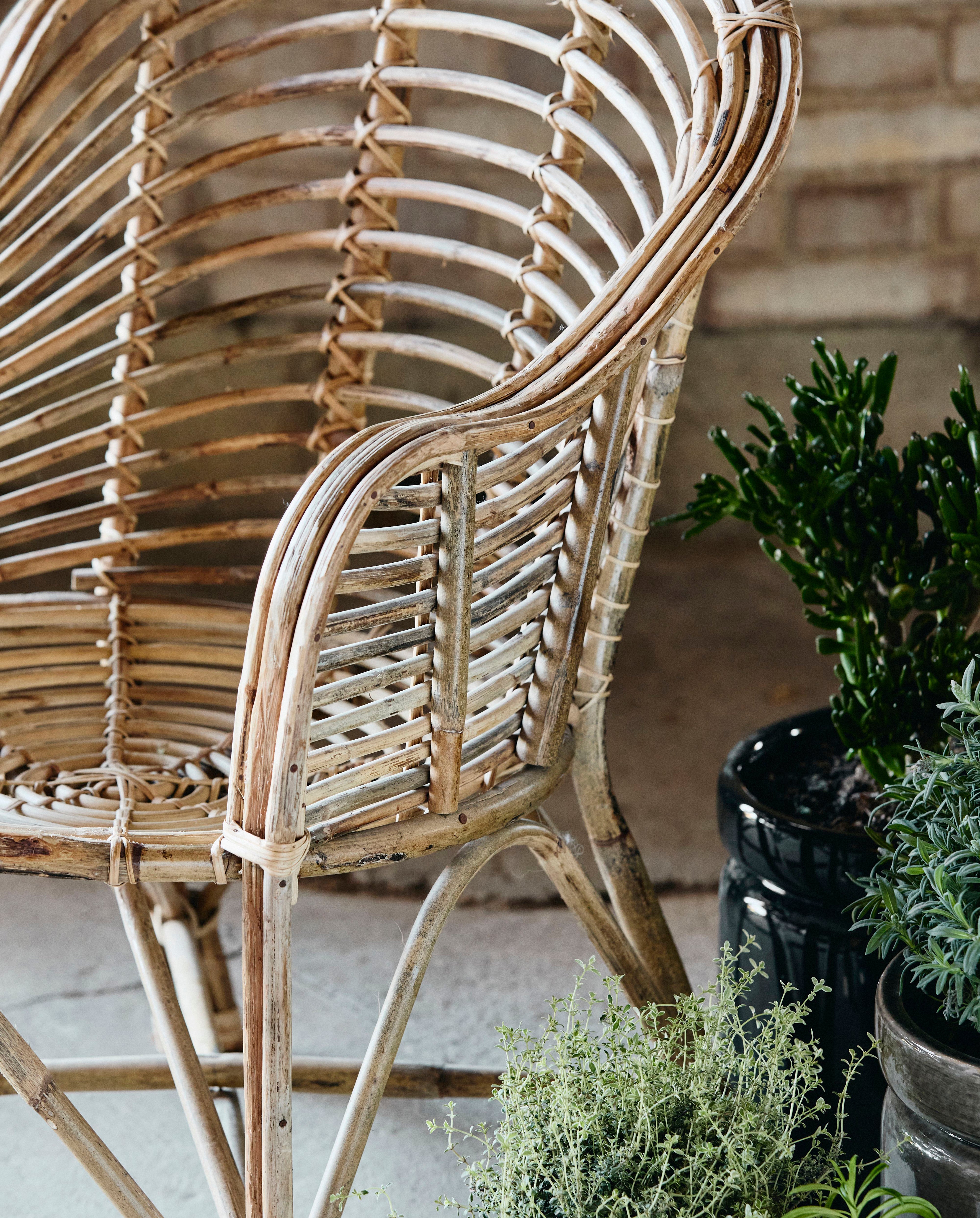 Cania Bamboo Chair, Natural, Nordal, stolar