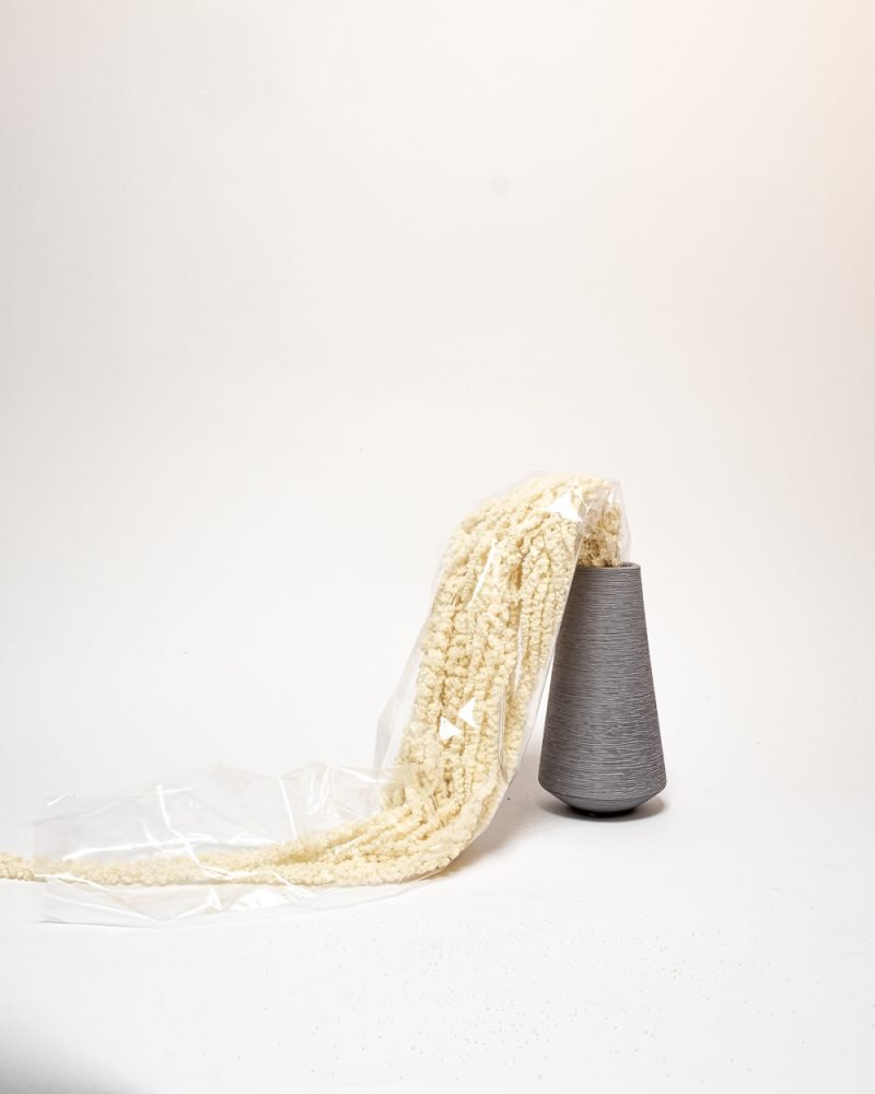 Amaranthus – Blekt Vit – Evighetsväxter, Flora Grossist, konserverade-blommor