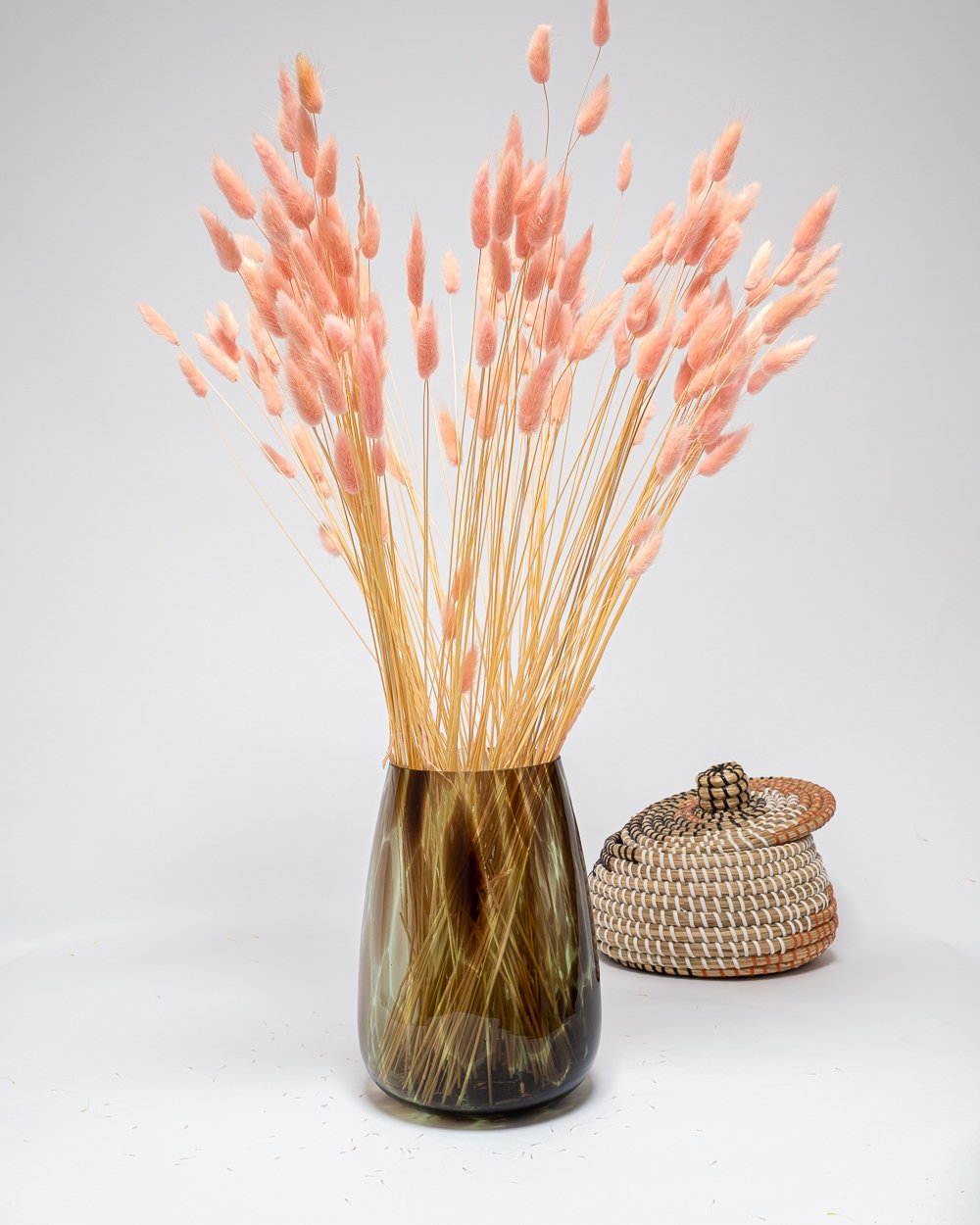 Lagurus Blekt Rosa – Torkade Blommor, Flora Grossist, torkade-blommor