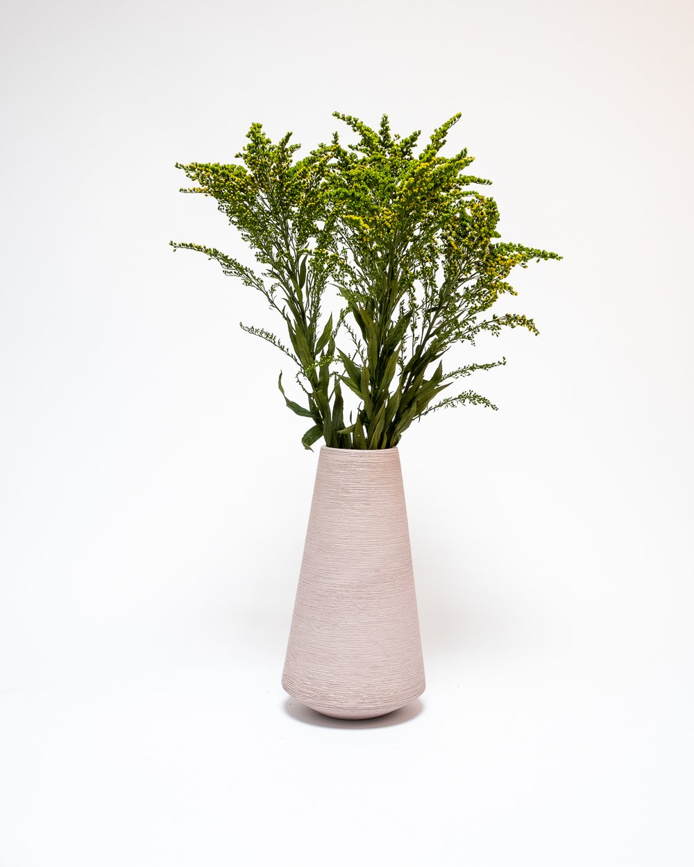 Solidago Grön – Konserverade Växter, Flora Grossist, konserverade-blommor