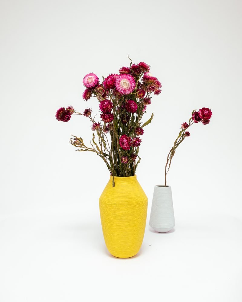 Jätte Eternell Helichrysum Mörk Rosa – Torkade Blommor, Flora Grossist, torkade-blommor