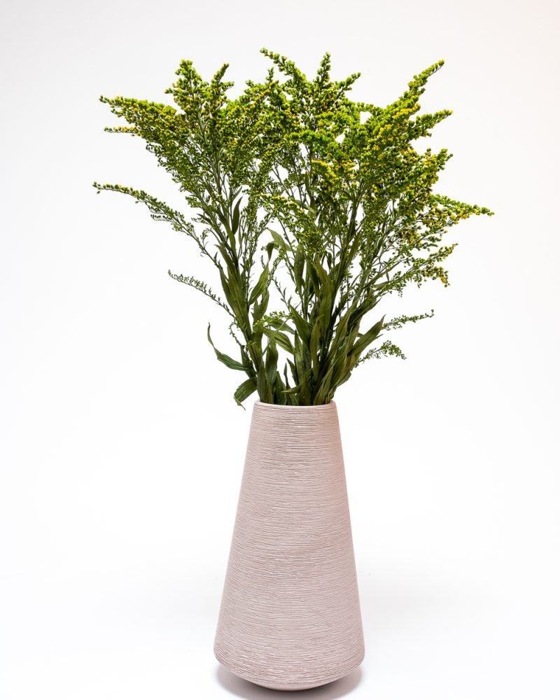 Solidago Grön – Konserverade Växter, Flora Grossist, konserverade-blommor