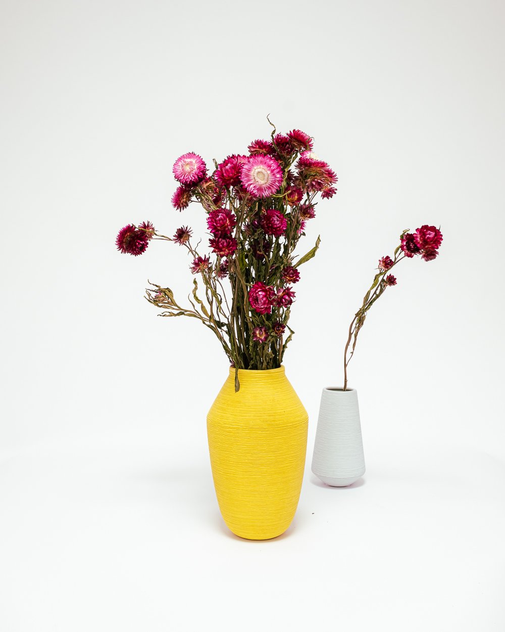 Jätte Eternell Helichrysum Mörk Rosa – Torkade Blommor, Flora Grossist, torkade-blommor