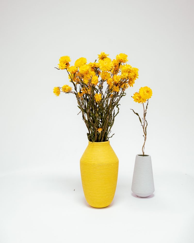 Jätte Eternell Helichrysum Gul – Torkade Blommor, Flora Grossist, torkade-blommor