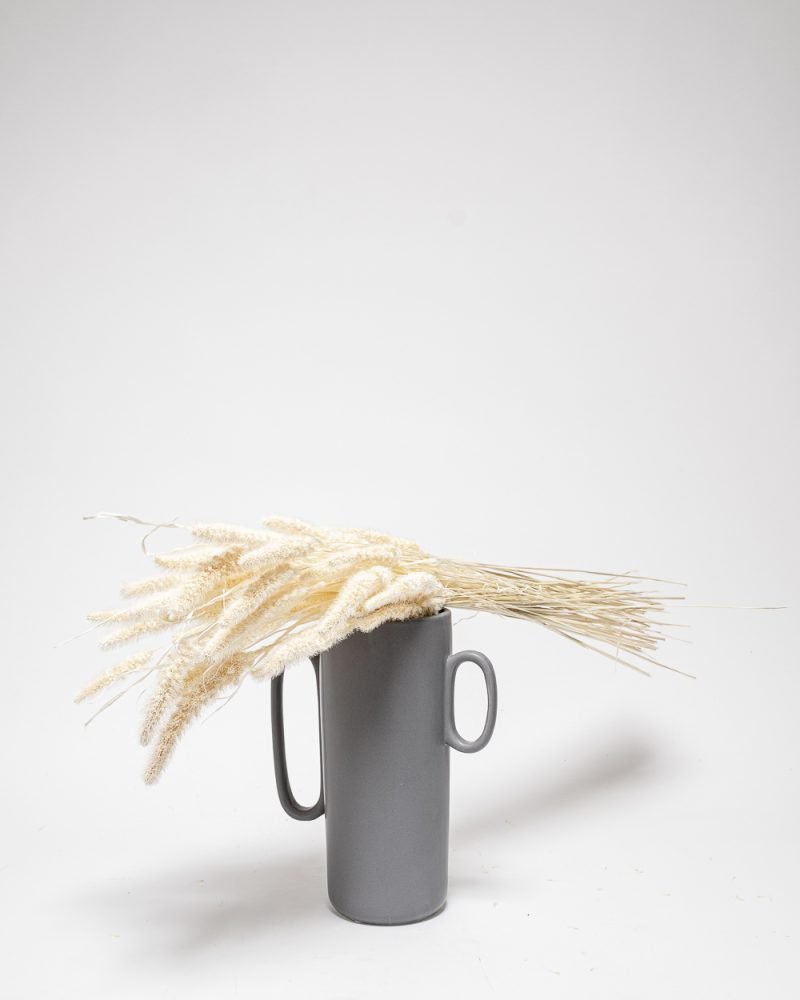 Setaria Blekt Vit – Torkade Blommor, Flora Grossist, torkade-blommor