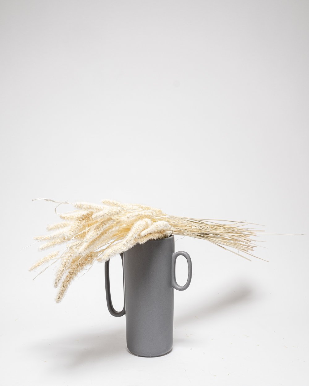 Setaria Blekt Vit – Torkade Blommor, Flora Grossist, torkade-blommor