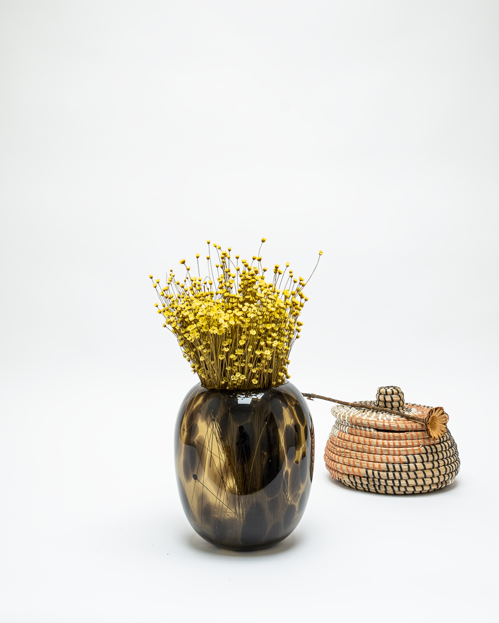 Glixia Gul – Torkade Blommor, Flora Grossist, torkade-blommor