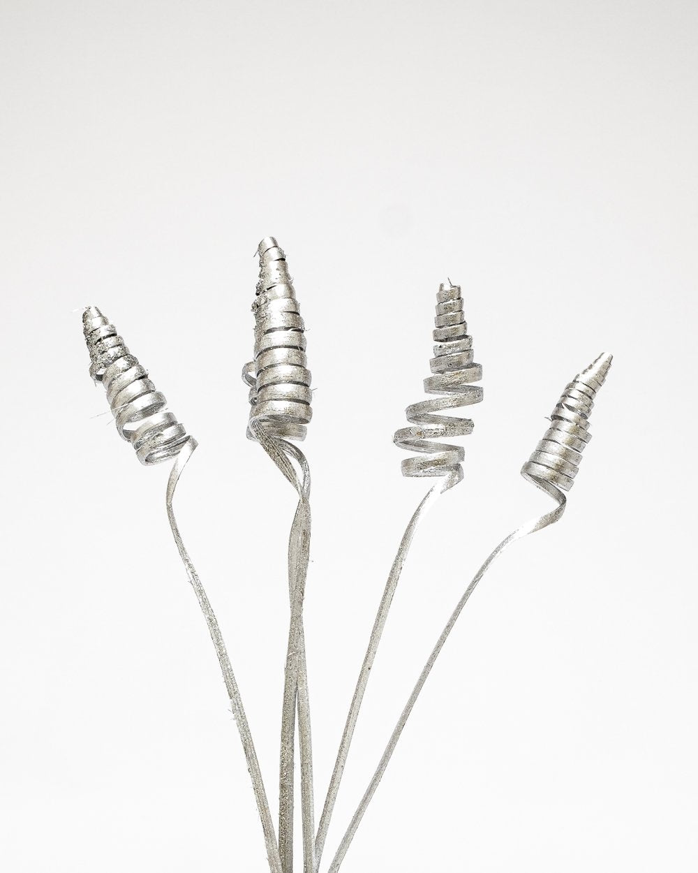 Cane Cone Silver – Torkade Blommor, Flora Grossist, torkade-blommor