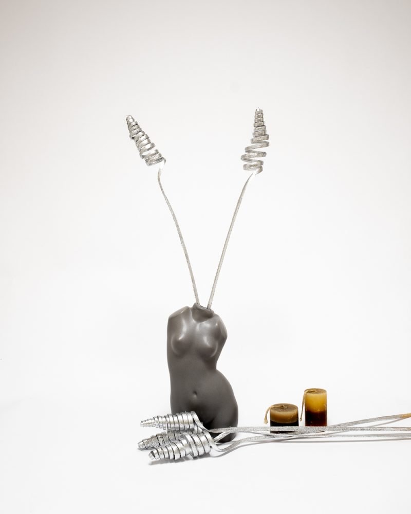 Cane Cone Silver – Torkade Blommor, Flora Grossist, torkade-blommor