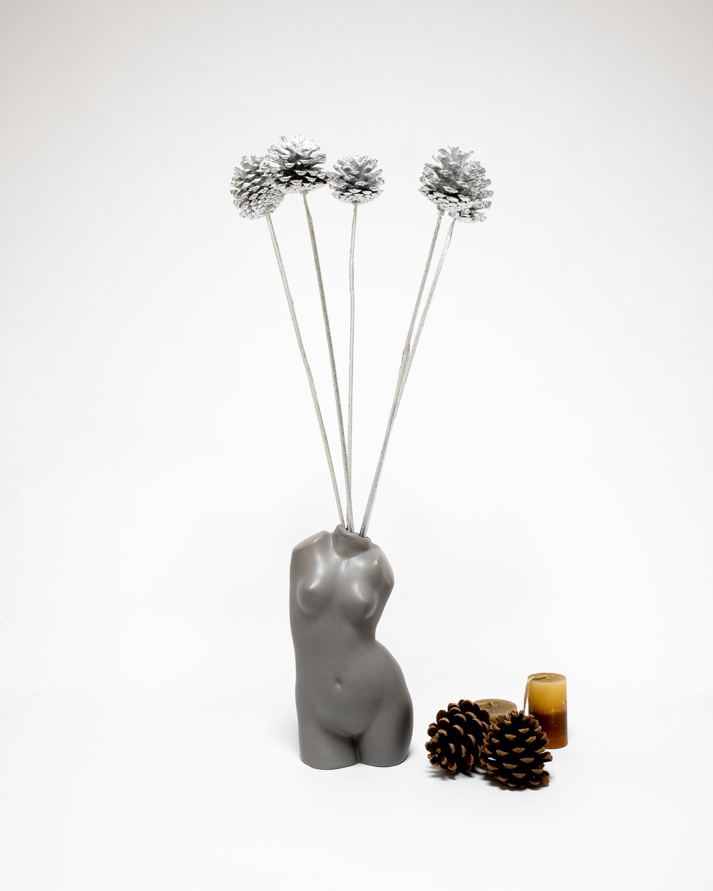 Kotte Silver – Torkade Blommor, Flora Grossist, torkade-blommor