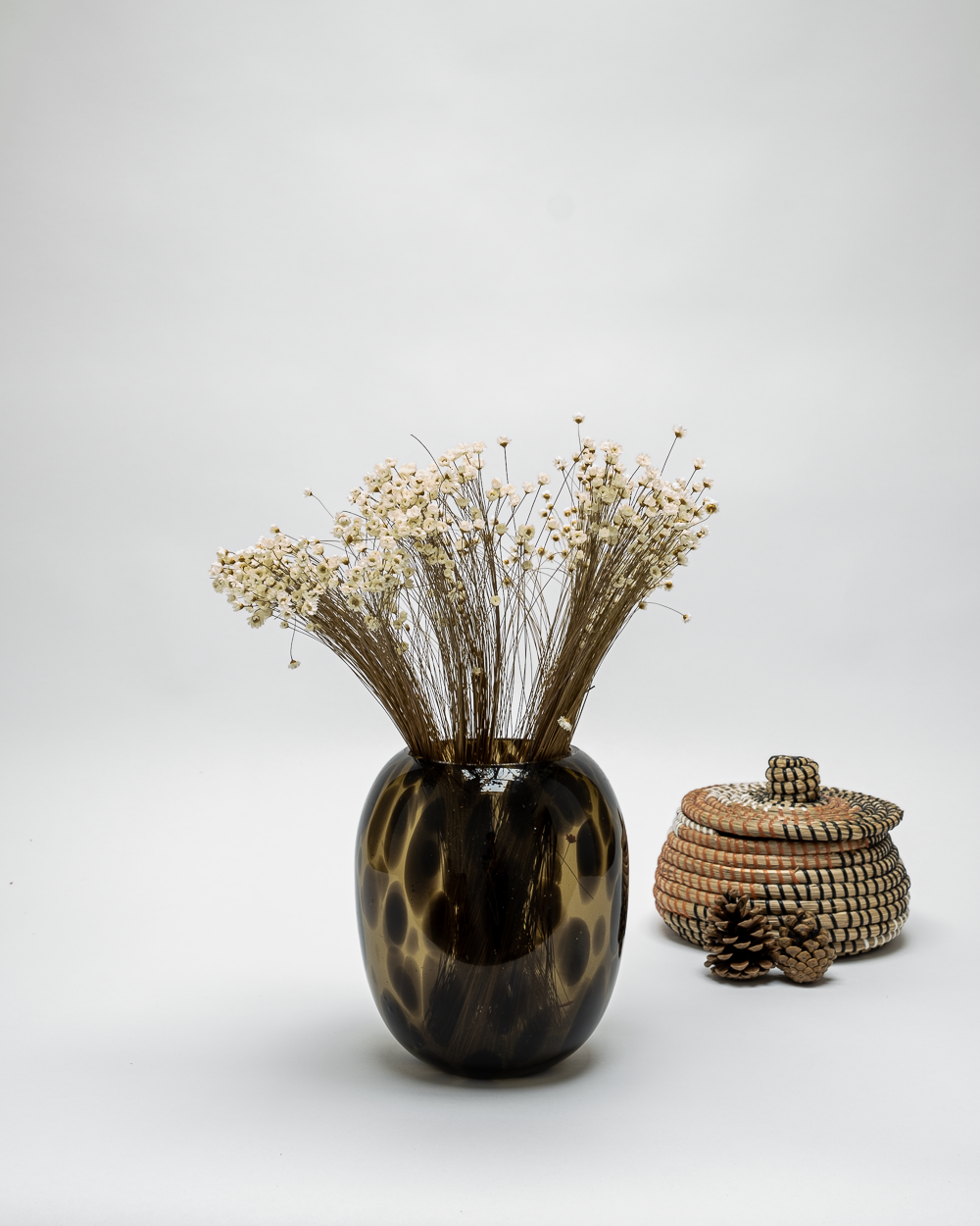 Glixia Naturell – Torkade Blommor, Flora Grossist, torkade-blommor