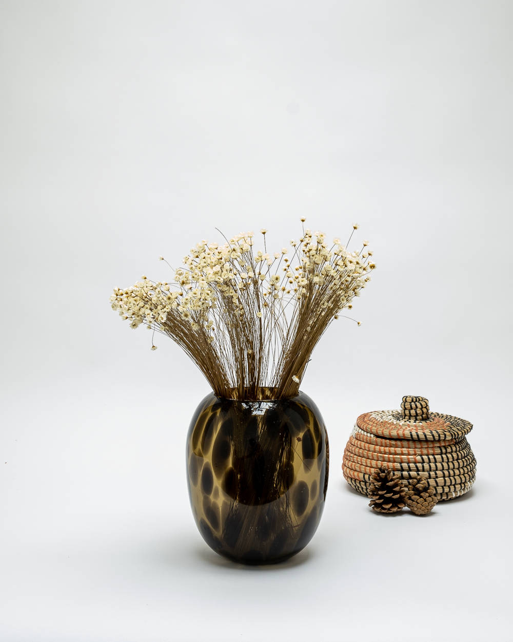 Glixia Naturell – Torkade Blommor, Flora Grossist, torkade-blommor