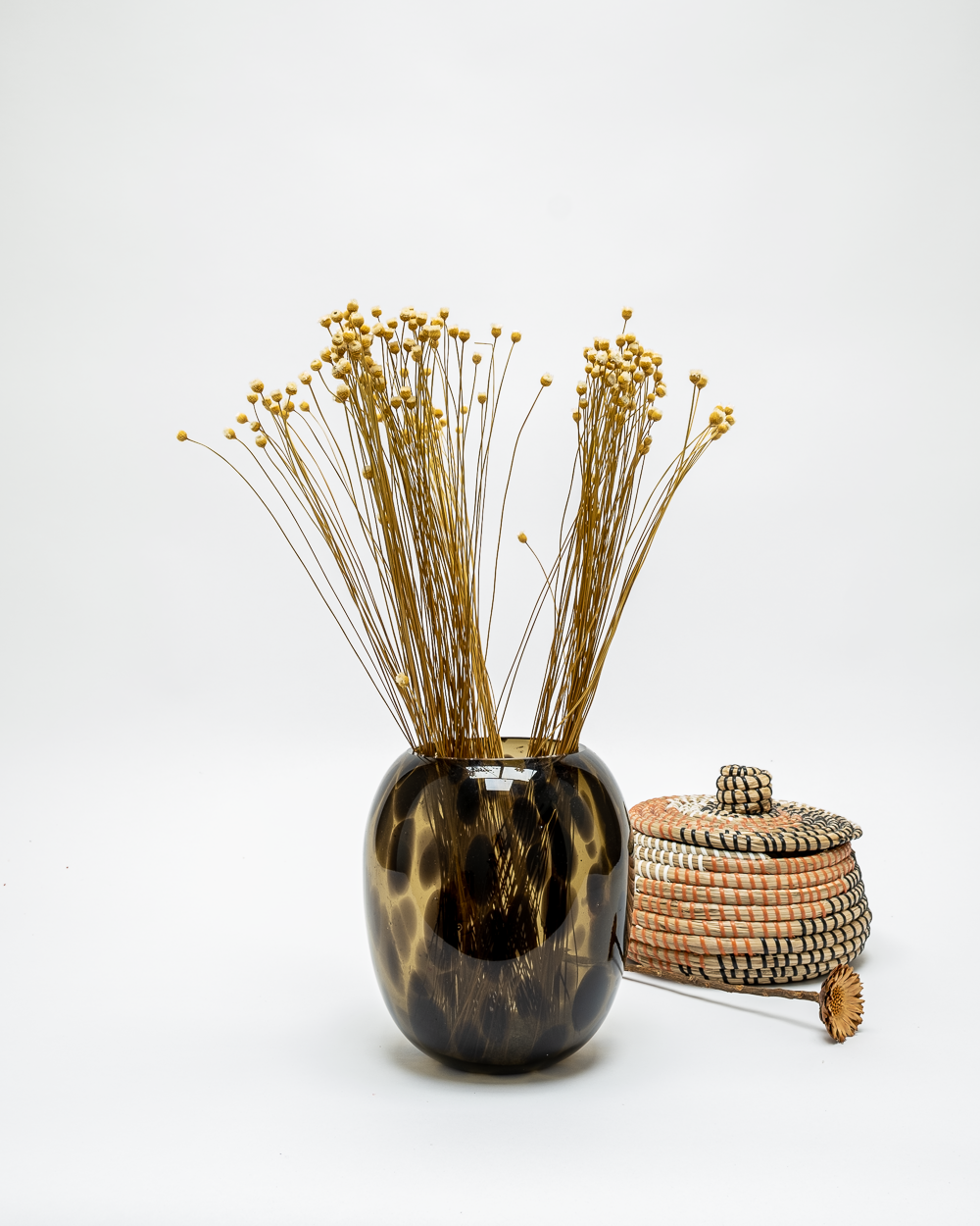 Jazilda Naturell Vit – Torkade Blommor, Flora Grossist, torkade-blommor