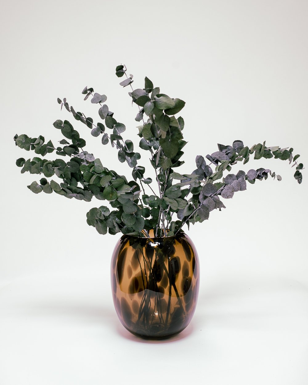 Eucalyptus Stuartiana Grön – Konserverade Växter, Flora Grossist, konserverade-blommor