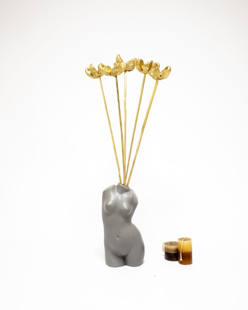 Bomullskapsel Guld – Torkade Blommor, Flora Grossist, torkade-blommor